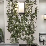 Elysees Ceramic Hotel Paris